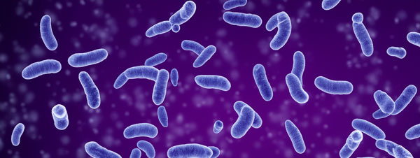 anti-microbial - PCI Labs - PCI Labs anti-microbial coatings header image